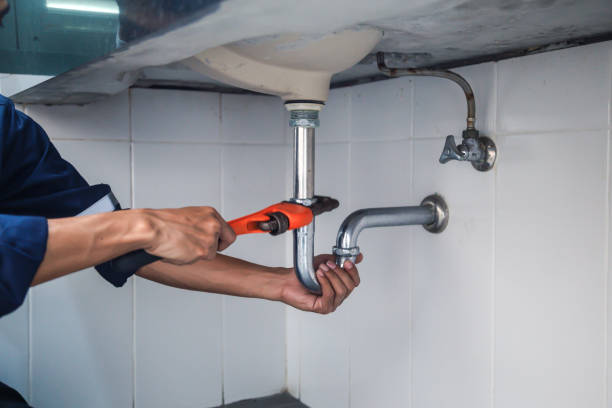 Best Shower Repair Services  in Elmo, TX